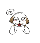 Tuiiyfu Dog Story（個別スタンプ：5）
