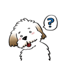 Tuiiyfu Dog Story（個別スタンプ：9）