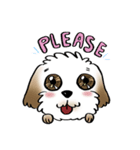 Tuiiyfu Dog Story（個別スタンプ：10）