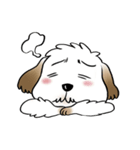 Tuiiyfu Dog Story（個別スタンプ：16）