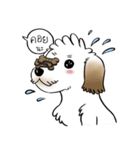 Tuiiyfu Dog Story（個別スタンプ：23）