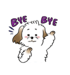 Tuiiyfu Dog Story（個別スタンプ：24）