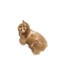 littlepuppy（個別スタンプ：2）