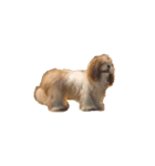 littlepuppy（個別スタンプ：4）