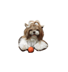 littlepuppy（個別スタンプ：7）