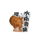 Small greasy greasy（個別スタンプ：34）