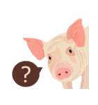 Pigs' Story（個別スタンプ：6）