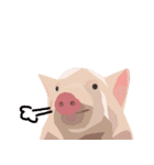 Pigs' Story（個別スタンプ：8）