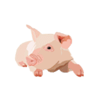 Pigs' Story（個別スタンプ：11）