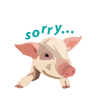 Pigs' Story（個別スタンプ：12）