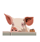Pigs' Story（個別スタンプ：16）