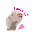 Pigs' Story（個別スタンプ：18）
