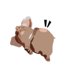 Pigs' Story（個別スタンプ：20）