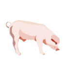 Pigs' Story（個別スタンプ：24）