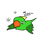 Parrot Bird（個別スタンプ：2）