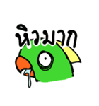 Parrot Bird（個別スタンプ：5）