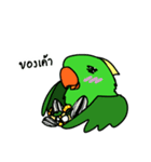 Parrot Bird（個別スタンプ：6）