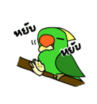 Parrot Bird（個別スタンプ：7）