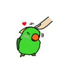 Parrot Bird（個別スタンプ：8）