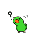 Parrot Bird（個別スタンプ：9）