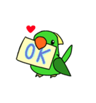 Parrot Bird（個別スタンプ：13）