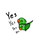 Parrot Bird（個別スタンプ：14）