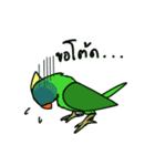 Parrot Bird（個別スタンプ：17）