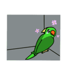 Parrot Bird（個別スタンプ：19）