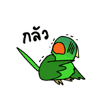 Parrot Bird（個別スタンプ：20）