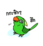 Parrot Bird（個別スタンプ：24）