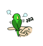 Parrot Bird（個別スタンプ：30）