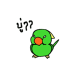 Parrot Bird（個別スタンプ：33）