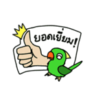 Parrot Bird（個別スタンプ：37）