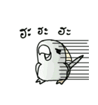 Parrot Bird（個別スタンプ：40）
