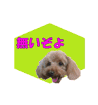 もあずく2017‐4（個別スタンプ：1）