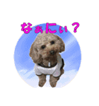 もあずく2017‐4（個別スタンプ：2）