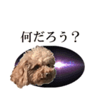 もあずく2017‐4（個別スタンプ：3）