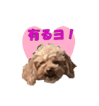 もあずく2017‐4（個別スタンプ：4）