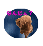もあずく2017‐4（個別スタンプ：5）