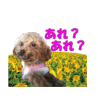 もあずく2017‐4（個別スタンプ：10）