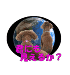 もあずく2017‐4（個別スタンプ：14）