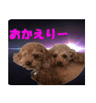 もあずく2017‐4（個別スタンプ：17）