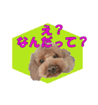 もあずく2017‐4（個別スタンプ：18）