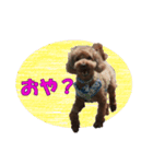 もあずく2017‐4（個別スタンプ：20）