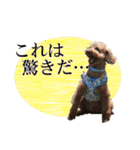 もあずく2017‐4（個別スタンプ：21）