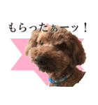 もあずく2017‐4（個別スタンプ：24）