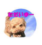 もあずく2017‐4（個別スタンプ：26）
