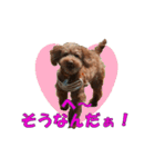 もあずく2017‐4（個別スタンプ：29）