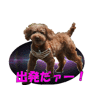 もあずく2017‐4（個別スタンプ：31）