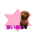 もあずく2017‐4（個別スタンプ：33）